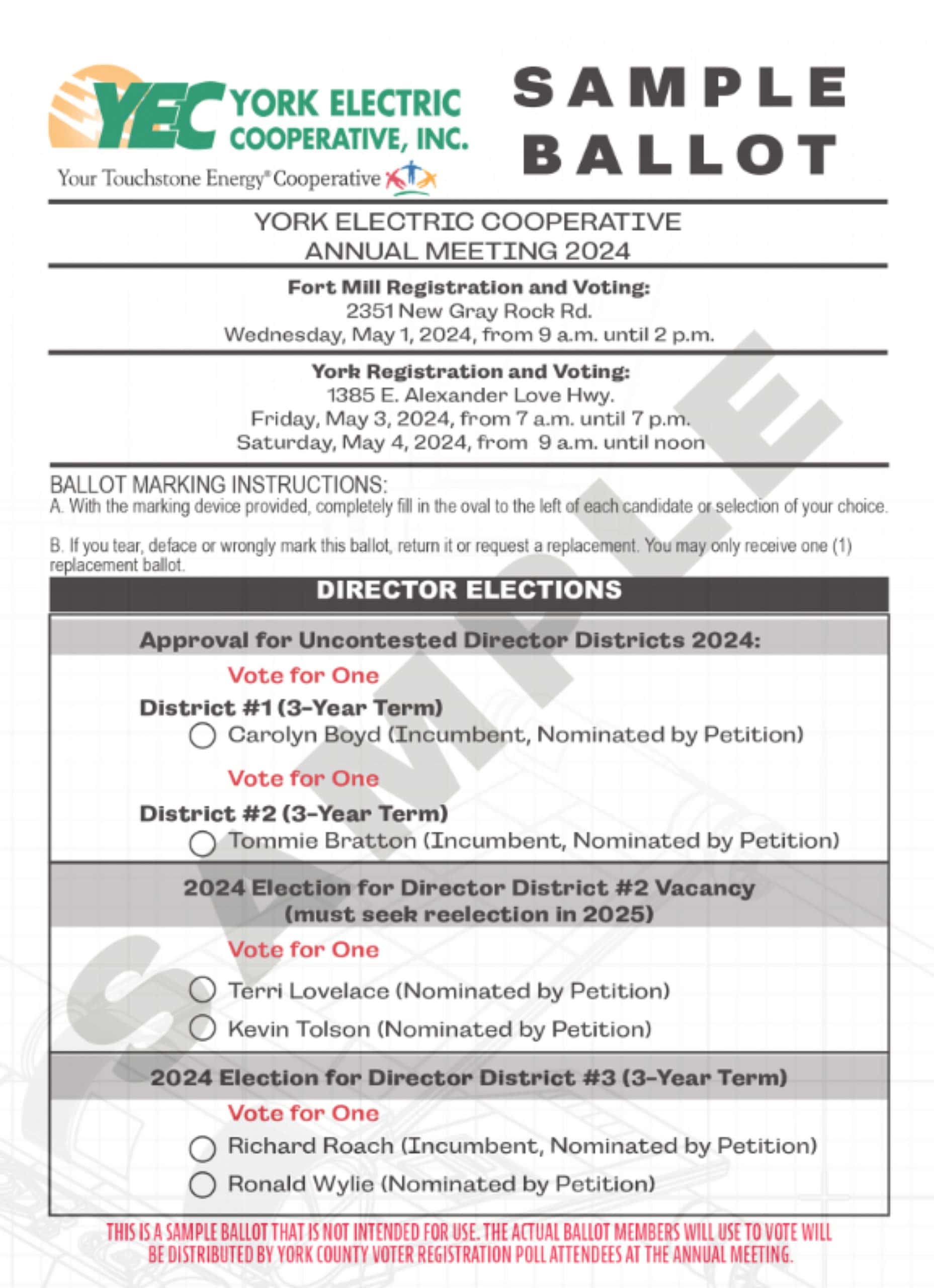 Sample ballot in graphic form